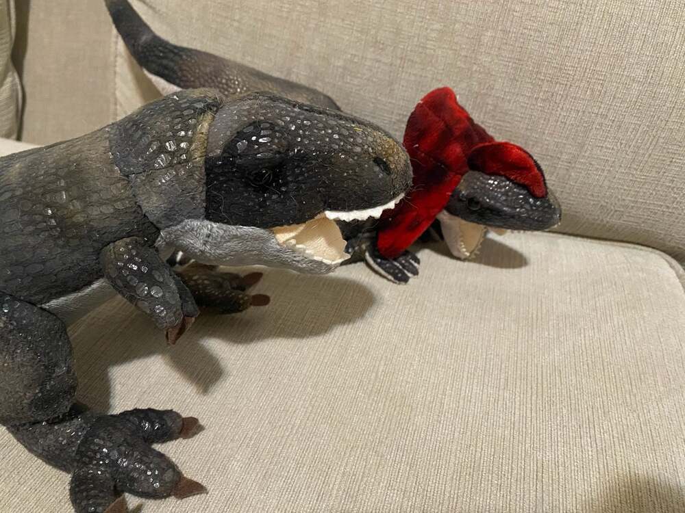 Wild Republic T-Rex and unbramded Dilophosaurus Plush Dinosaur Toy Set